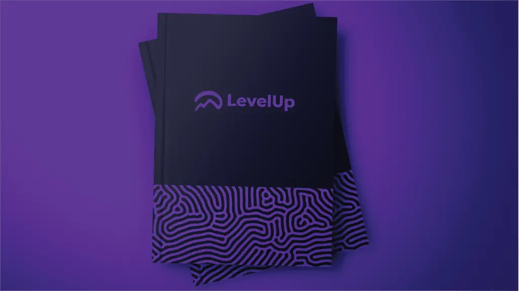 A quirky and engaging visual identity for LevelUp | DoDA