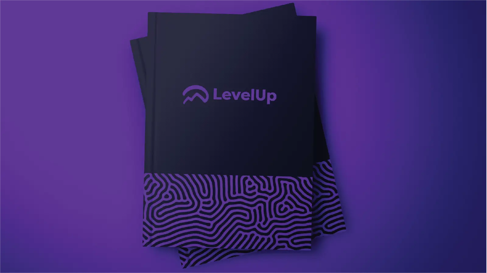 A quirky and engaging visual identity for LevelUp | DoDA