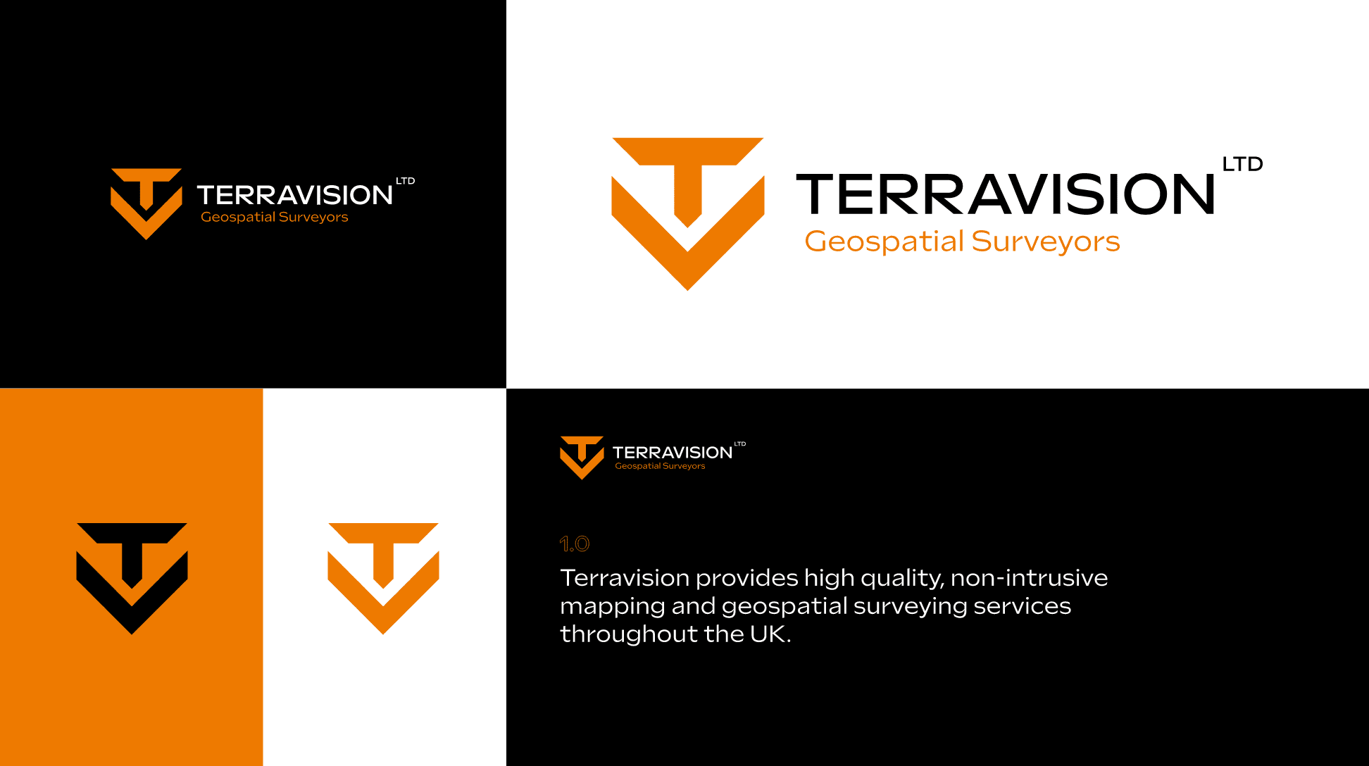 Website Design | Brand Design | Explainer Video For Terravision