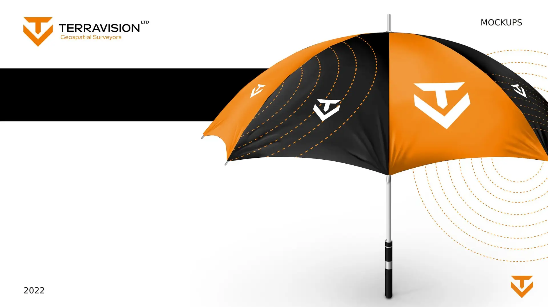 Website Design | Brand Design | Explainer Video For Terravision