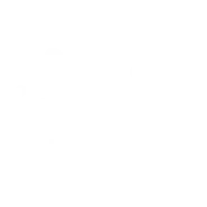 logo-whit-wain