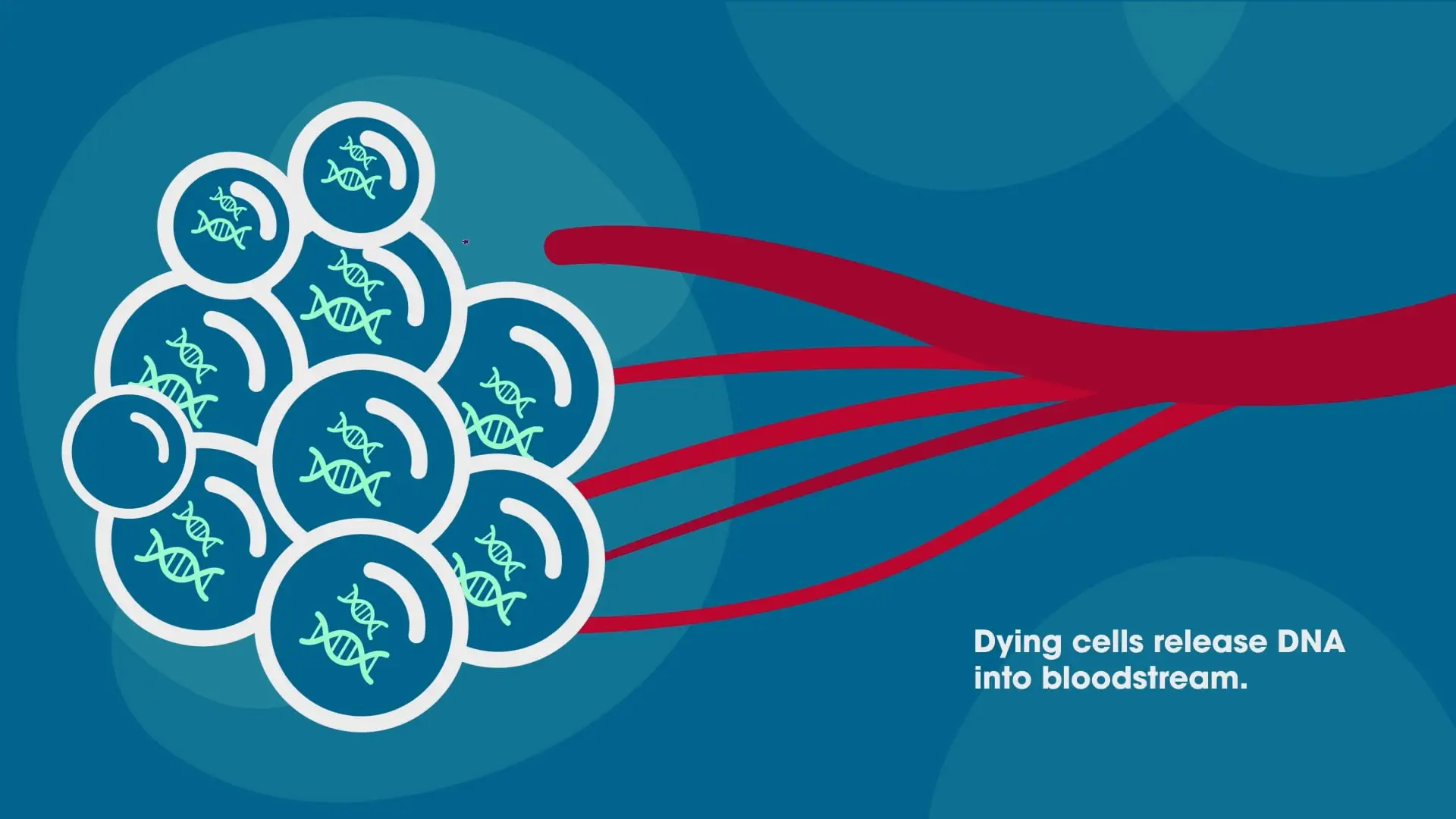 Motion | Stunning Animation and 3d walkthrough services.