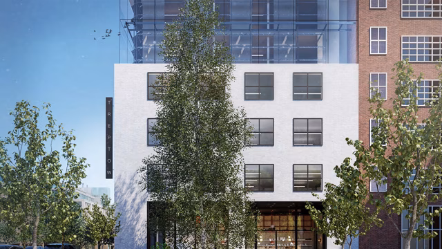 cinemagraph flying birds