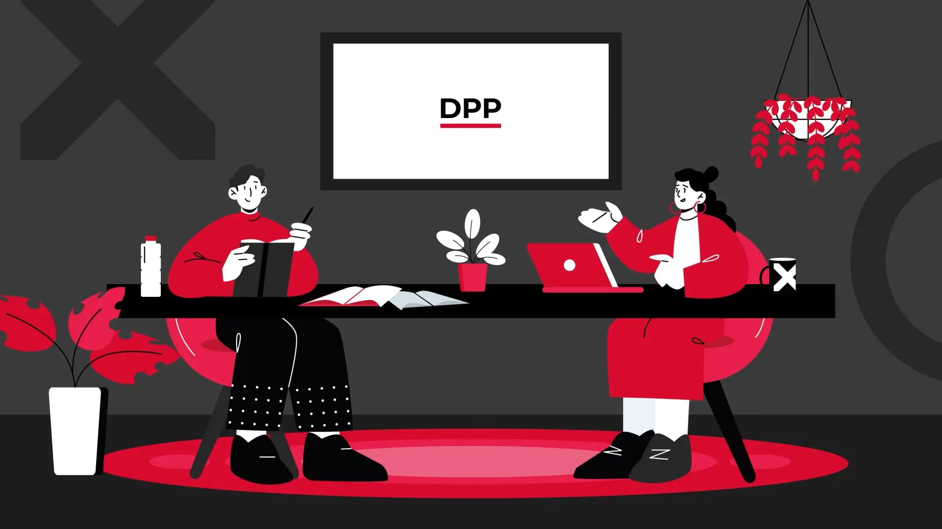 dpp illistrated 2d explainer video